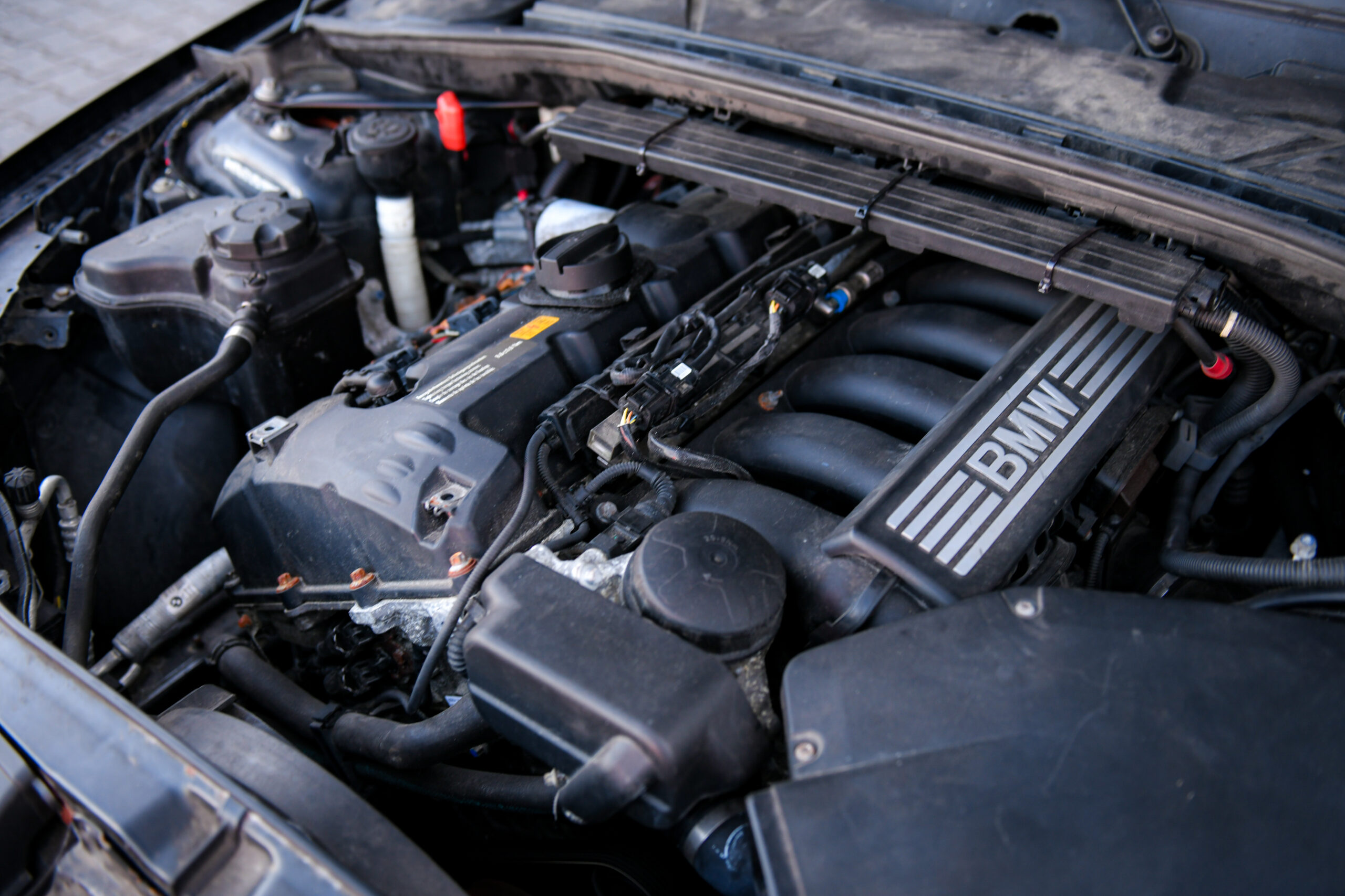 BMW E87 130i_2236